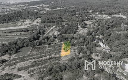 Na predaj slnečný pozemok s jedinečným výhľadom v Modre