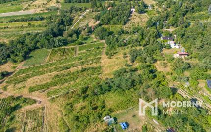 Na predaj slnečný pozemok s jedinečným výhľadom v Modre