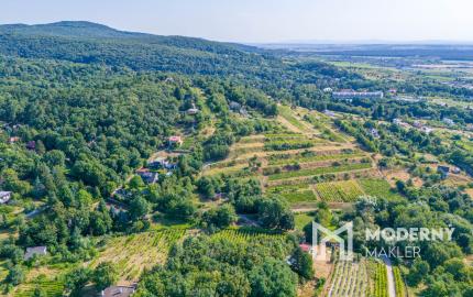 Na predaj slnečný pozemok s jedinečným výhľadom v Modre