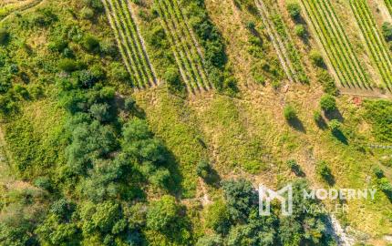 Na predaj slnečný pozemok s jedinečným výhľadom v Modre