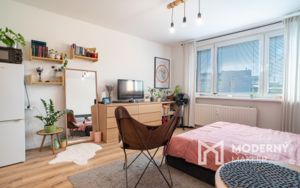 Na predaj 1-izbový byt v Bratislave na Hraničnej ulici