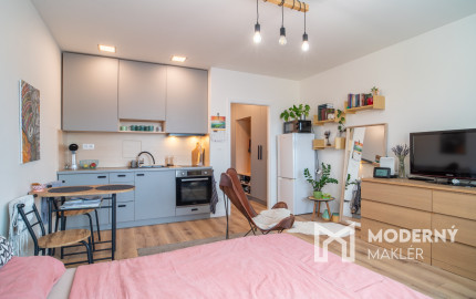 Na predaj 1-izbový byt v Bratislave na Hraničnej ulici