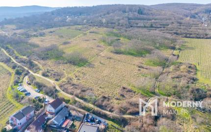 Na predaj perspektívny pozemok v Rači