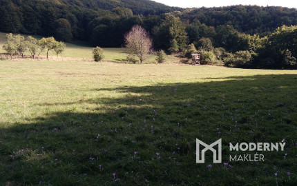 Exkluzívna ponuka Pozemkov (lesy, pasienky, lúky) v k.ú. Šípkov, okr. Bánovce n/B