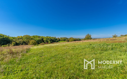 Na predaj pozemok vo Vinohradoch nad Váhom