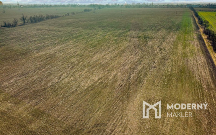 Predaj priemyselného pozemku v obci Mierovo