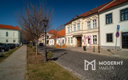 Na prenájom štýlový 3-izbový mezonet v historickom centre Trnavy