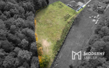 Lukratívna ponuka pozemku v obci Brezolupy 8040m2