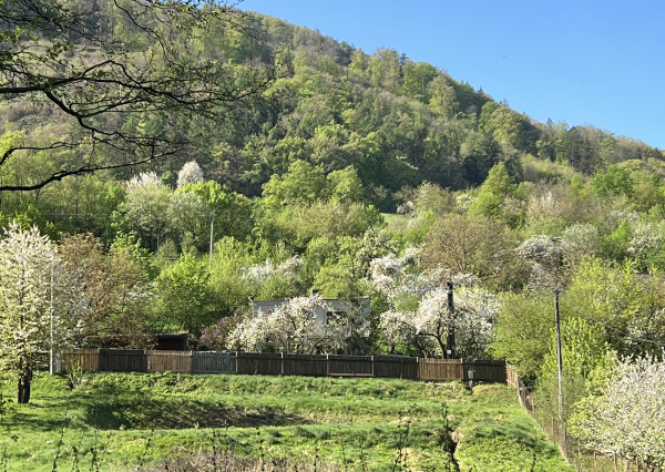 Na predaj krásny, slnečný, stavebný pozemok so stavebným povolením priamo pri lese s potokom v obci Ladce - Horné Ladce.
