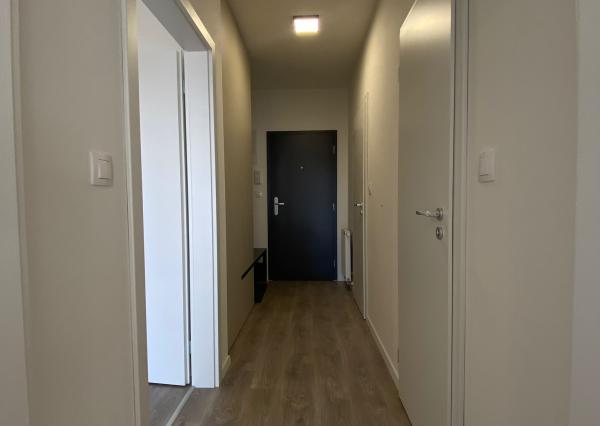 Krásne zariadený dvojizbový byt na ulici Hanzlíkovská