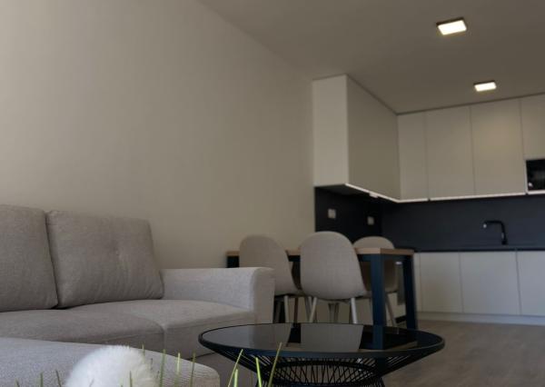 Krásne zariadený dvojizbový byt na ulici Hanzlíkovská