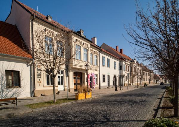 Na predaj štýlový 3-izbový mezonet v historickom centre Trnavy