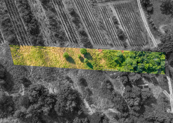 Na predaj slnečný pozemok s jedinečným výhľadom v Modre