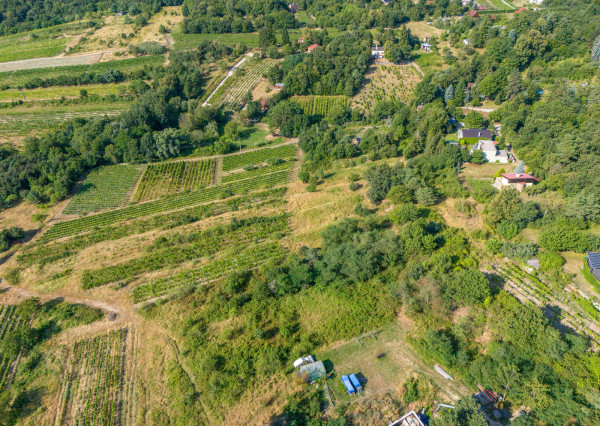 Na predaj slnečný pozemok s jedinečným výhľadom v Modre