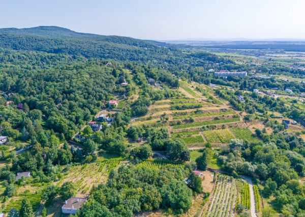 Na predaj slnečný pozemok s jedinečným výhľadom v Modre
