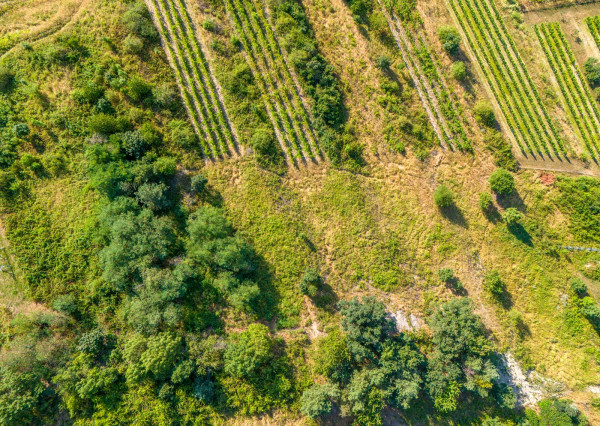 Na predaj slnečný pozemok s jedinečným výhľadom v Modre