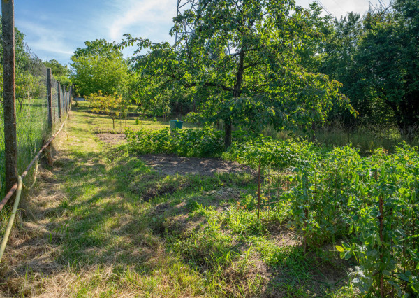 Na predaj rekreačný pozemok so záhradnou chatou v Stupave