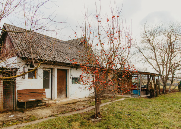 PREDANÉ: Na predaj priestranný rodinný dom v obci Beluša