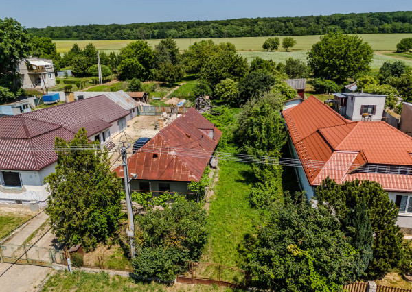 Na predaj obrovský pozemok v obci Moravany-Lučkovce v okrese Michalovce.
