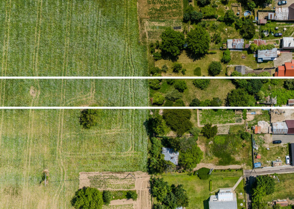 Na predaj obrovský pozemok v obci Moravany-Lučkovce v okrese Michalovce.
