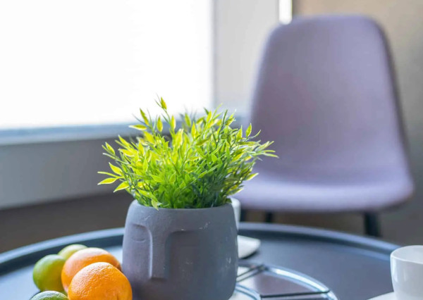 Na prenájom kompletne zariadený 2-izbový byt s garážovým parkovacím státím v SKYPARKU