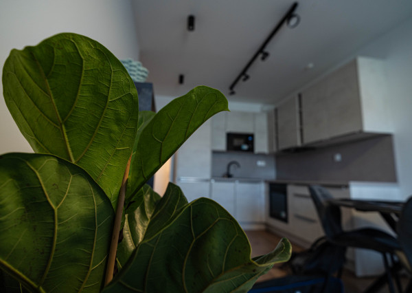 Na prenájom 2-izbový byt v Bratislave v projekte Nová Záhorská