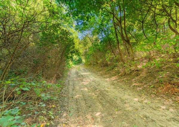 Na predaj pozemok vo Vinohradoch nad Váhom