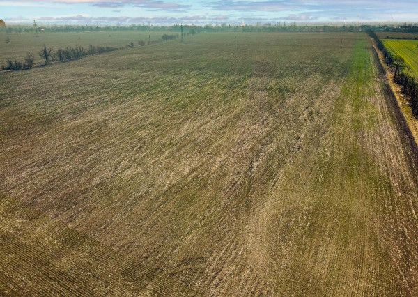 Predaj priemyselného pozemku v obci Mierovo