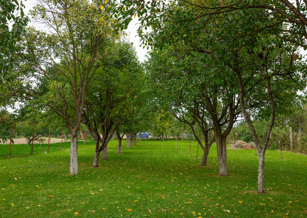 Na predaj 2-generačný rodinný dom v obci Zámutov