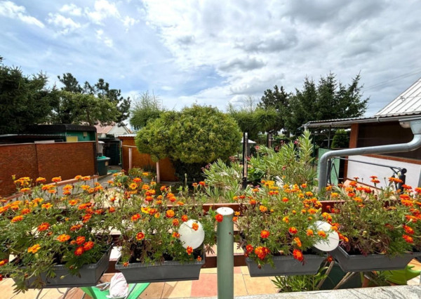 Exkluzívna ponuka na PREDAJ 3i RD Pravotice s veľkým pozemkom 1529m2