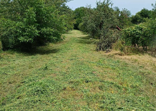Prašice - starý vidiecky dom s veľkým pozemkom na predaj