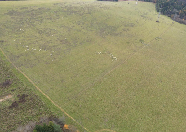 Na predaj pozemok v Žilinskej Lehote