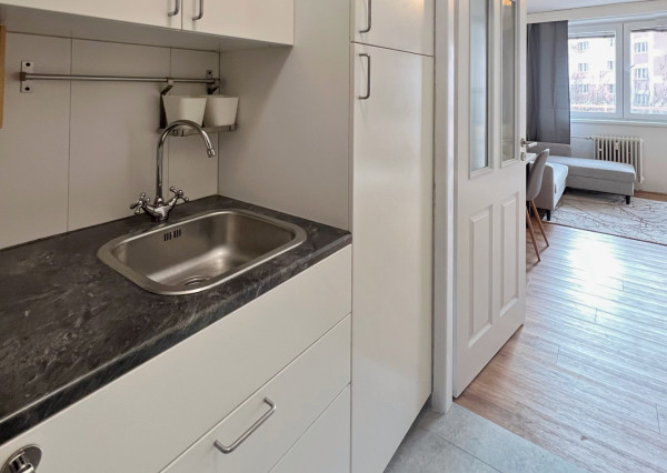 Na prenájom zrekonštruovaný 1-izbový byt, Nové Mesto - Bratislava