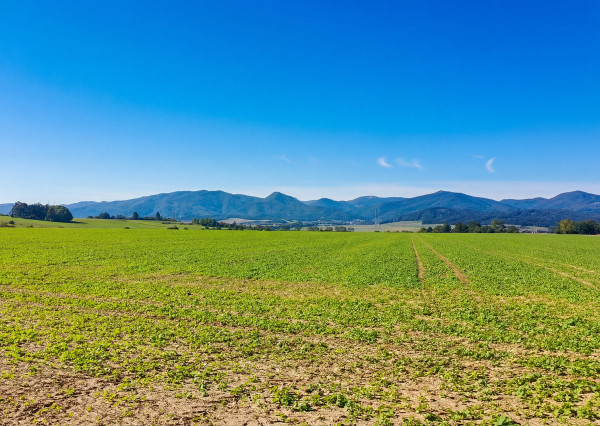 Na predaj pozemok v lokalite Karlová