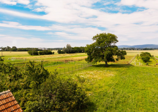 Nová znížená cena! Na predaj 5-izbový rodinný dom s veľkou záhradou v Novej Vsi nad Váhom