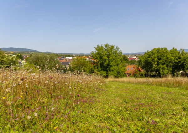 Na predaj impozantný rodinný dom v Ivanovciach