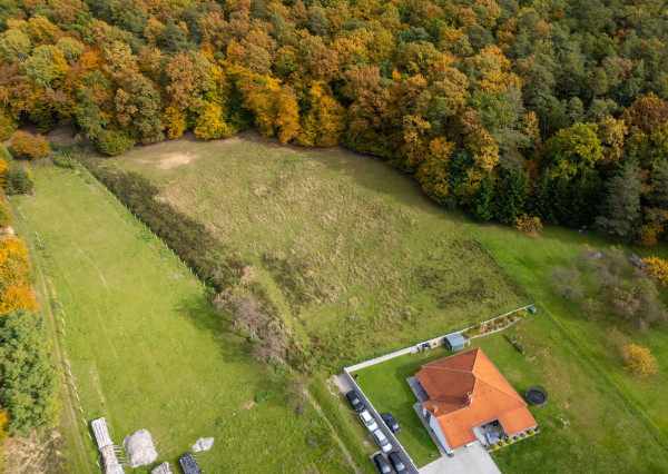 Lukratívna ponuka pozemku v obci Brezolupy 8040m2