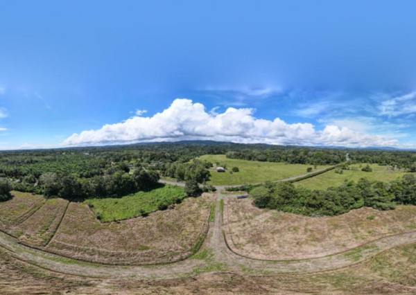 Na predaj pozemok v Kostarike na polostrove Osa