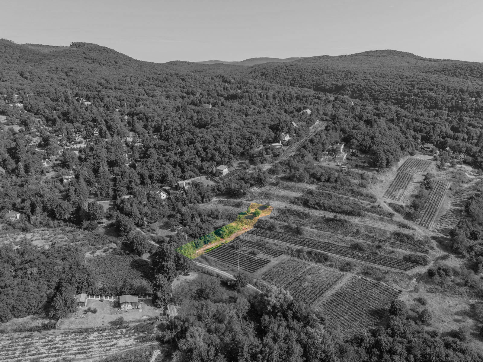 Na predaj slnečný pozemok s jedinečným výhľadom v Modre