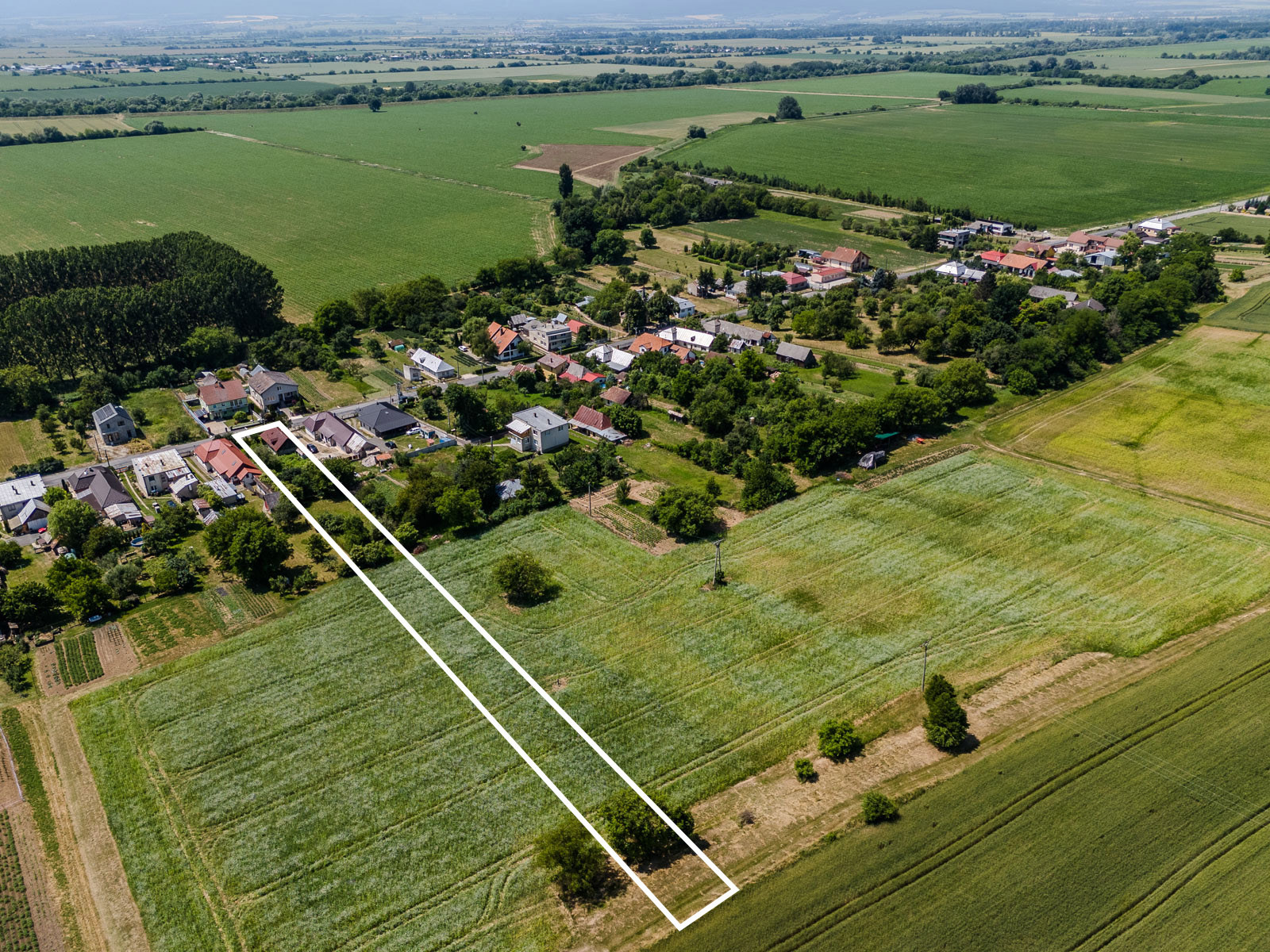 Na predaj obrovský pozemok v obci Moravany-Lučkovce v okrese Michalovce.