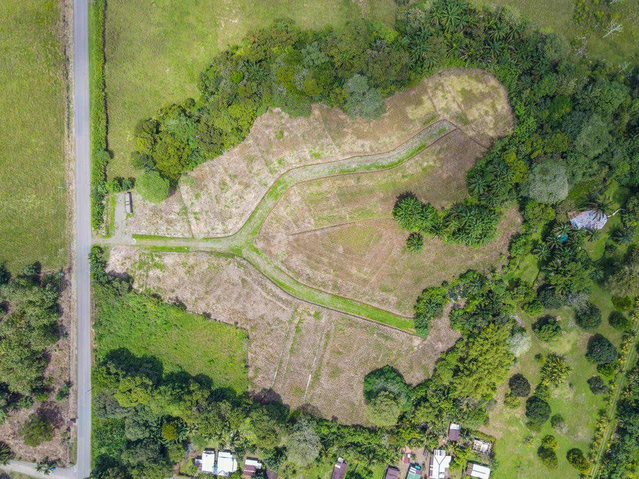 Na predaj pozemok v Kostarike na polostrove Osa