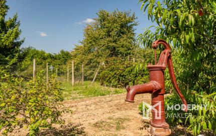 Na predaj záhrada v lokalite Sereď