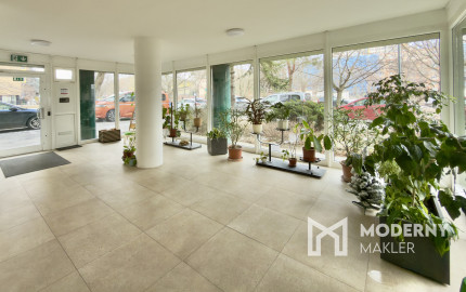 3-izbový byt v "Palušáku", Ružová dolina