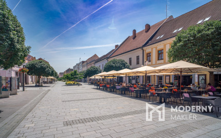 Na predaj plne fungujúce a zariadené štúdio priamo v centre Trnavy