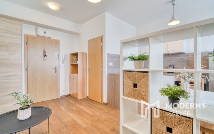 Na prenájom garsónka s parkovacím miestom v Malackách