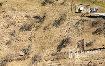 Na predaj veľkorysý pozemok v obci Šarišské Sokolovce