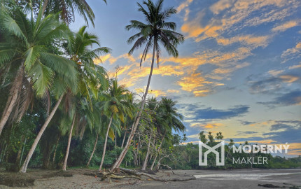 Na predaj investičná 3-izbová vila na polostrove Osa na Kostarike