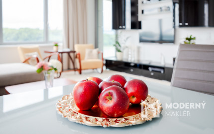 Prenájom - 3i byt s terasou a parkovacím státím v Eurovea