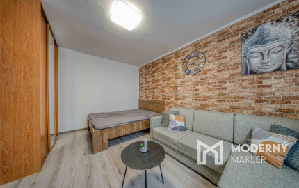 Na prenájom 1-izbový byt v Senci