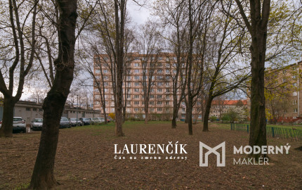 NA PRENÁJOM | 3 - IZBOVÝ BYT V ŠIRŠOM CENTRE TRENČÍNA | PET FRIENDLY